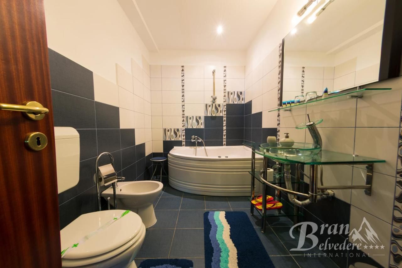 Гостевой дом Bran Belvedere International Бран-17