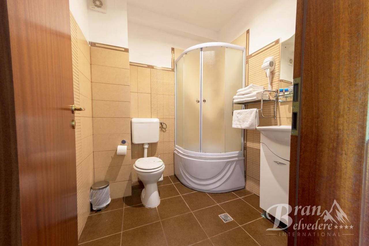 Гостевой дом Bran Belvedere International Бран-20