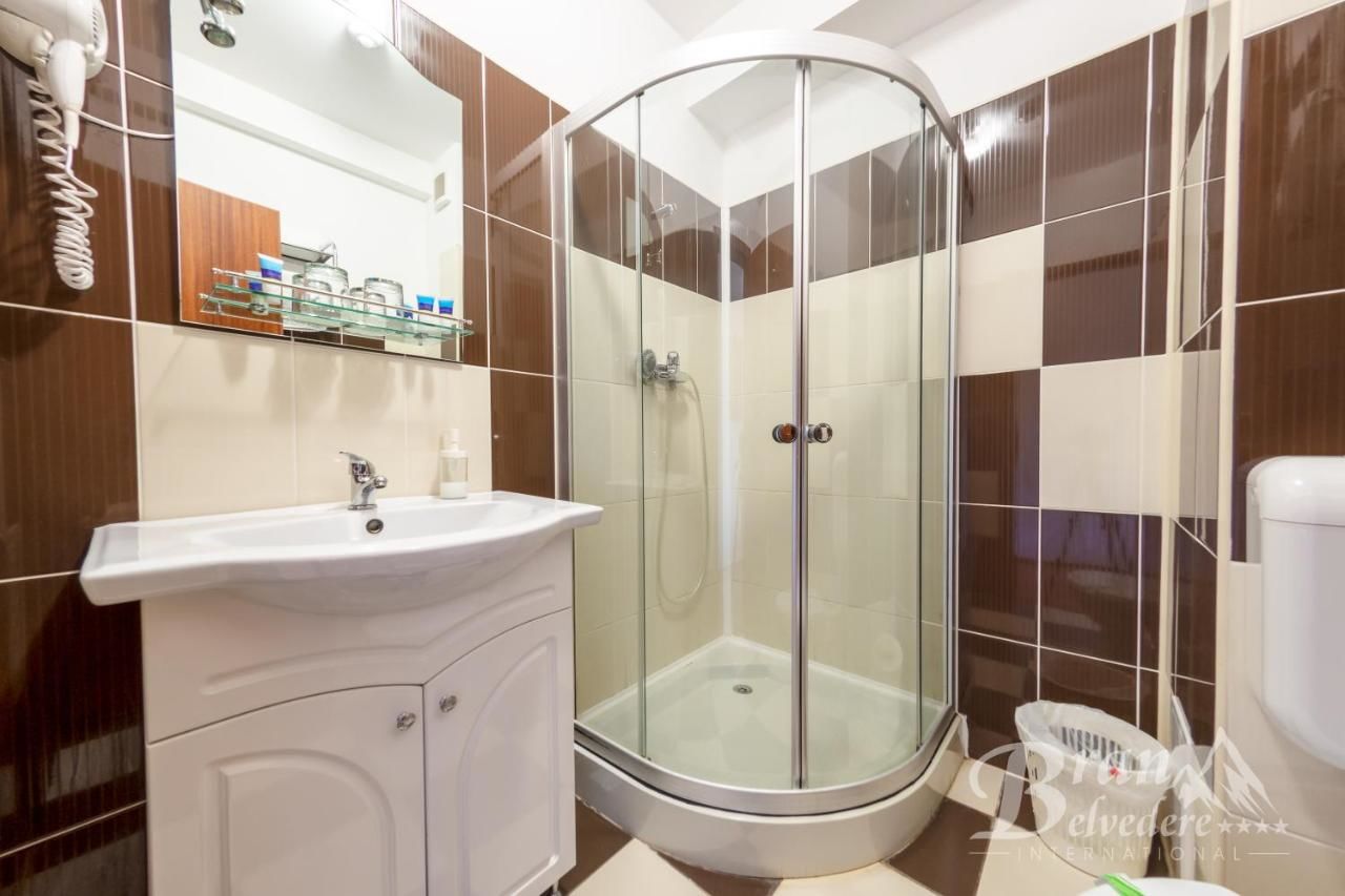 Гостевой дом Bran Belvedere International Бран-24