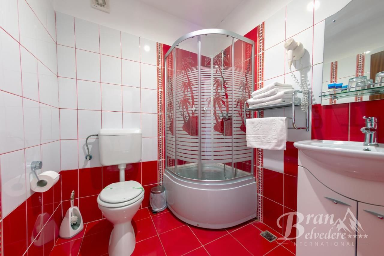 Гостевой дом Bran Belvedere International Бран-28