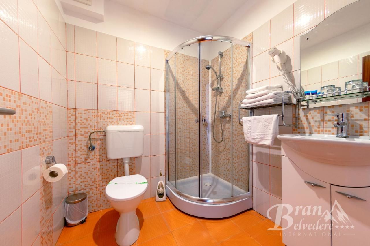 Гостевой дом Bran Belvedere International Бран-32