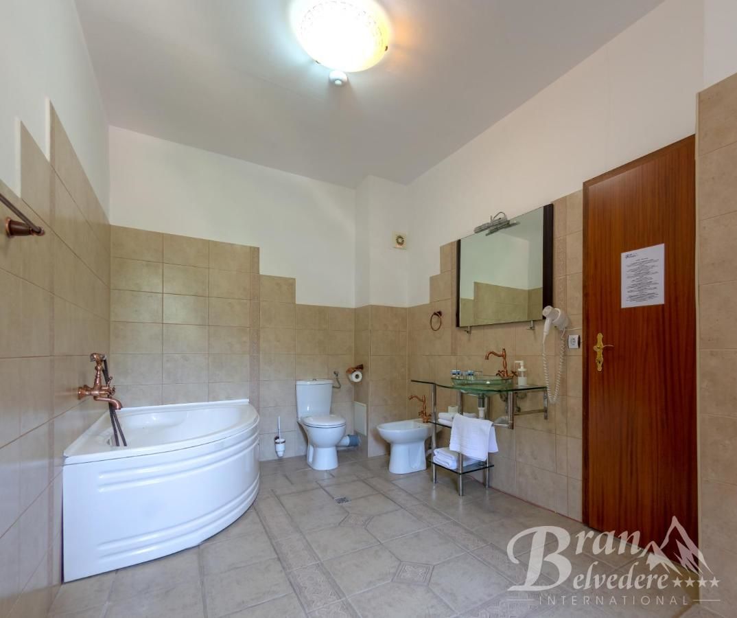 Гостевой дом Bran Belvedere International Бран-35