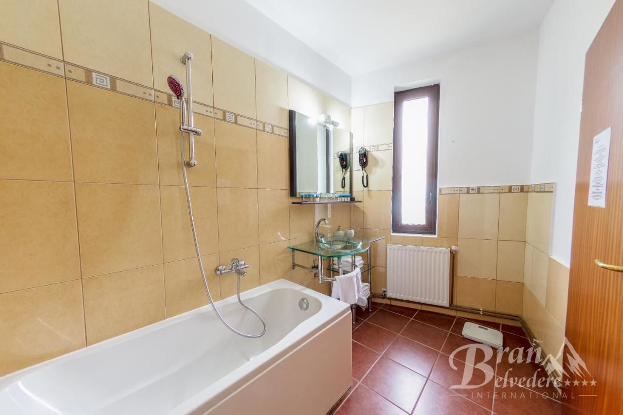 Гостевой дом Bran Belvedere International Бран-40