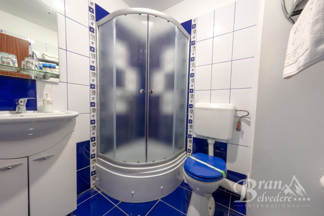 Гостевой дом Bran Belvedere International Бран-42