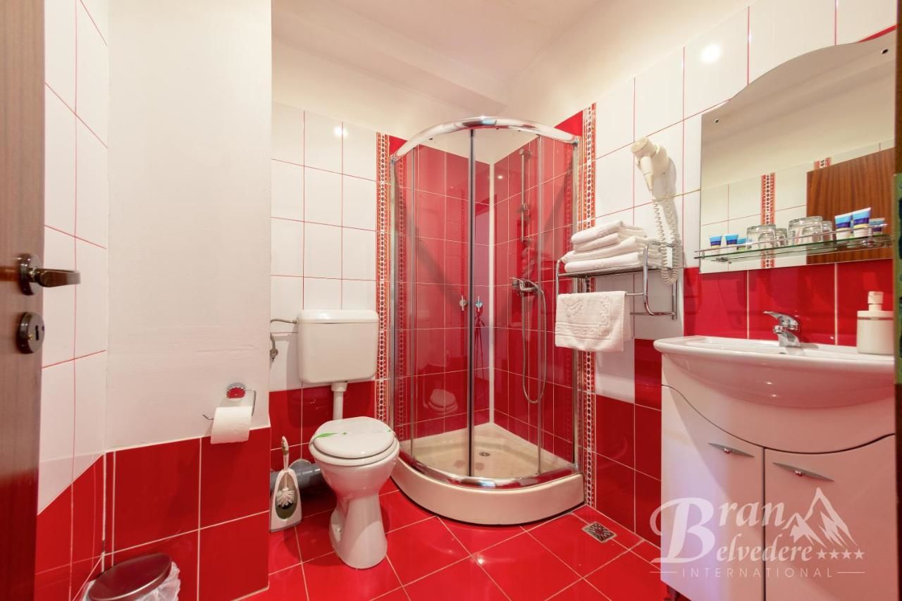 Гостевой дом Bran Belvedere International Бран-44