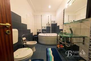 Гостевой дом Bran Belvedere International Бран Номер-студио с джакузи-3