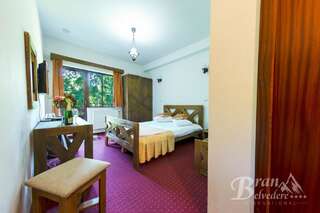 Гостевой дом Bran Belvedere International Бран Стандартный двухместный номер с 1 кроватью или 2 отдельными кроватями, вид на горы-1