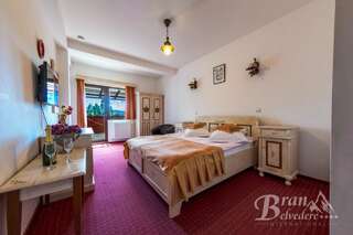 Гостевой дом Bran Belvedere International Бран Стандартный двухместный номер с 1 кроватью или 2 отдельными кроватями, вид на горы-6