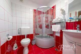 Гостевой дом Bran Belvedere International Бран Стандартный двухместный номер с 1 кроватью или 2 отдельными кроватями, вид на горы-7