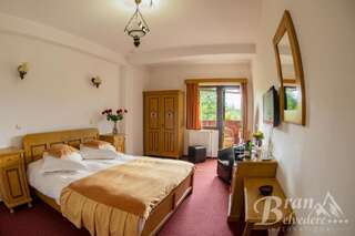 Гостевой дом Bran Belvedere International Бран Стандартный двухместный номер с 1 кроватью или 2 отдельными кроватями, вид на горы-8