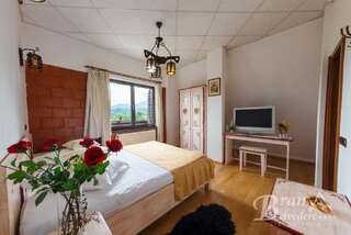 Гостевой дом Bran Belvedere International Бран Стандартный двухместный номер с 1 кроватью или 2 отдельными кроватями, вид на горы-12