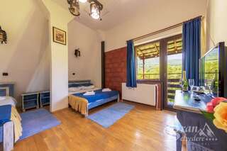 Гостевой дом Bran Belvedere International Бран Улучшенный трехместный номер с видом на горы-6