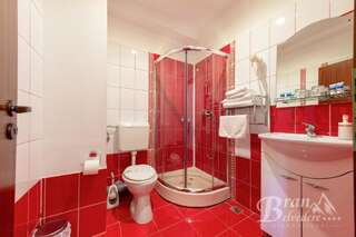 Гостевой дом Bran Belvedere International Бран Небольшой двухместный номер с 1 кроватью или 2 отдельными кроватями, вид на горы-10