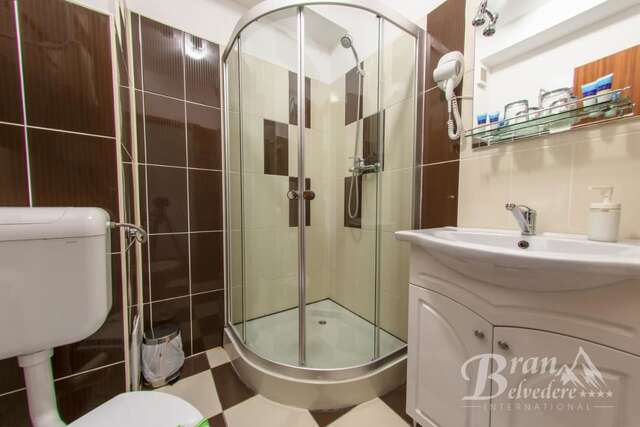 Гостевой дом Bran Belvedere International Бран-25