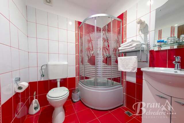 Гостевой дом Bran Belvedere International Бран-27