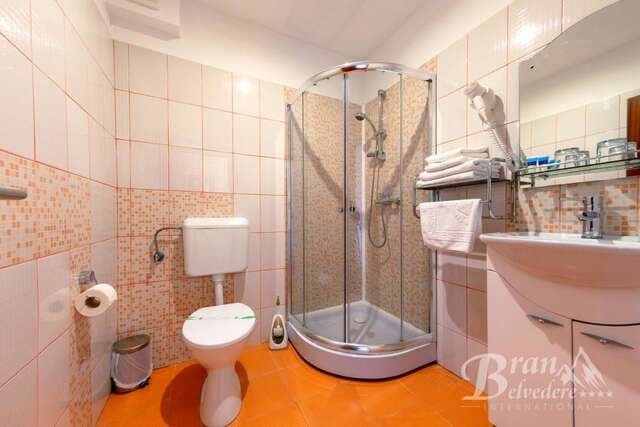 Гостевой дом Bran Belvedere International Бран-31