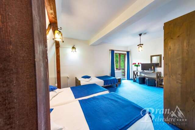 Гостевой дом Bran Belvedere International Бран-40