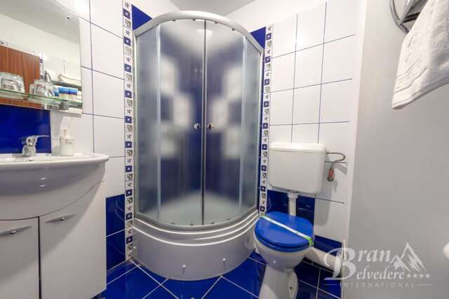 Гостевой дом Bran Belvedere International Бран-41