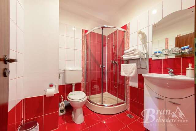 Гостевой дом Bran Belvedere International Бран-43