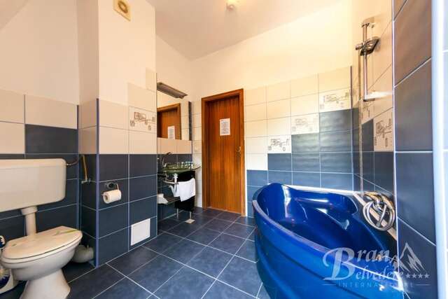 Гостевой дом Bran Belvedere International Бран-45