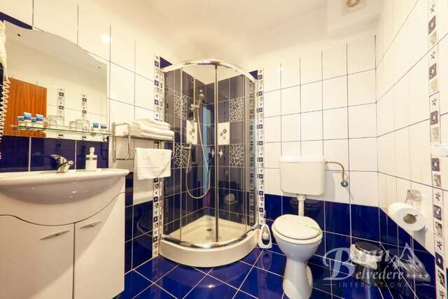 Гостевой дом Bran Belvedere International Бран-46